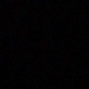 Meet your Posher, Griffin